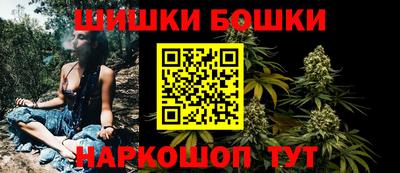 твердый Камышлов