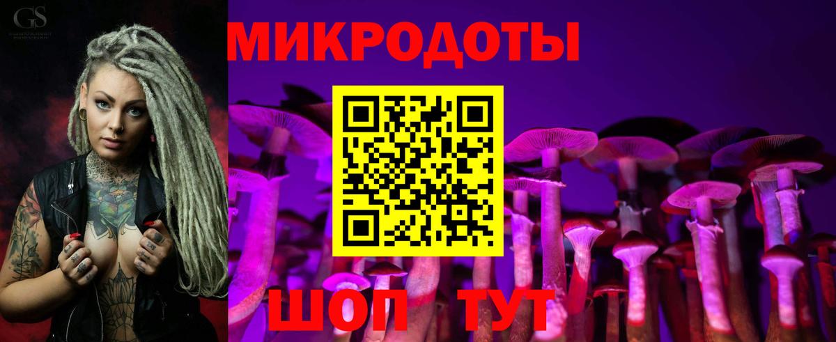 Псилоцибиновые грибы мухоморы Щёлково